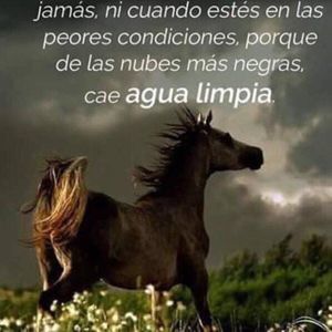 Meet your Posher, Graciela